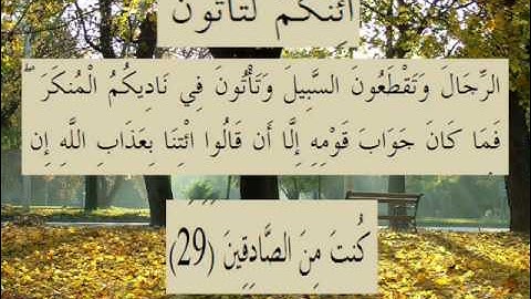 القران الكريم سورة العنكبوت الأية 29.wmv