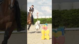 Edda vs basti Eddas Challenge #equestrian #eddavsbasti #equestrian