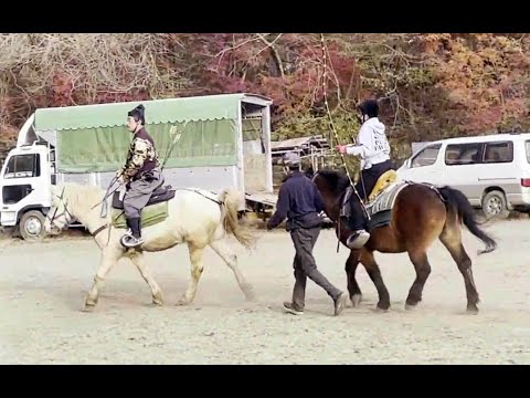 側対歩と斜対歩、馬の歩き方、駈け方二種・紅葉台木曽馬牧場2021年11月16日