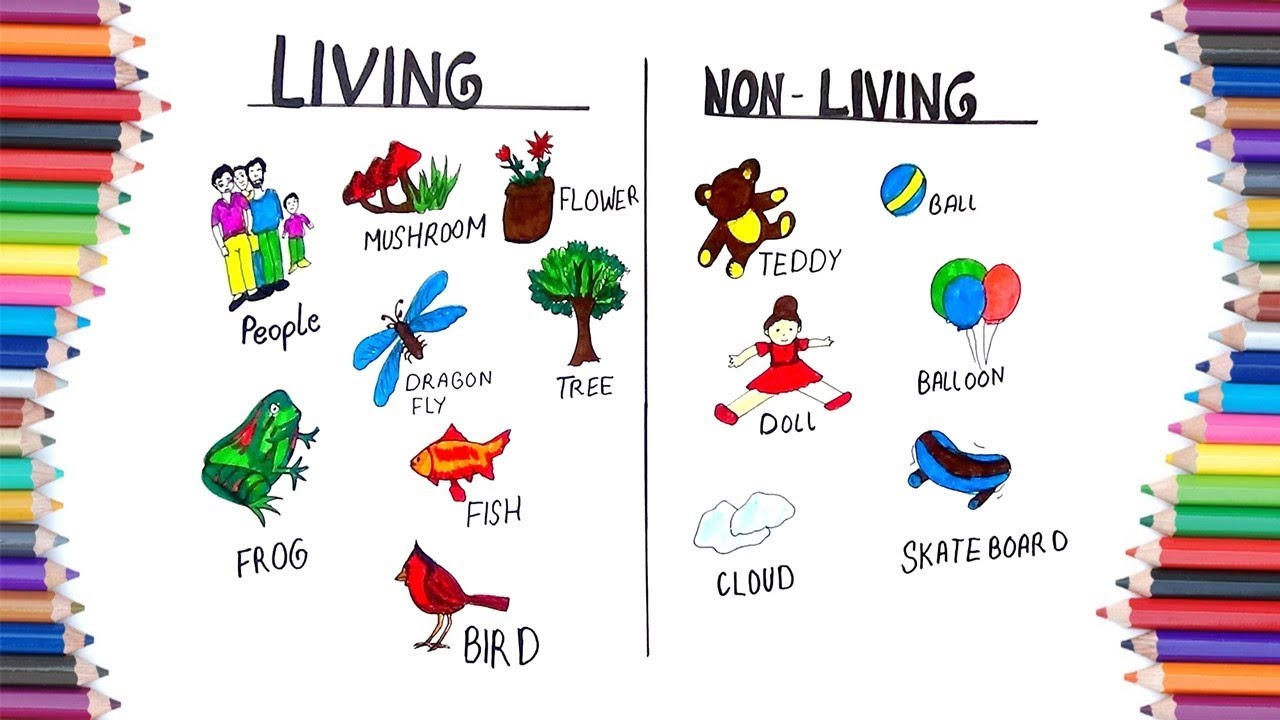 HOW TO DRAW LIVING AND NON LIVING - YouTube