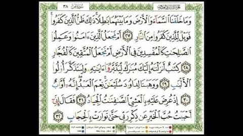 قصة سليمان من سورة ص | بصوت سليمان الشبيبي