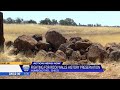 Chico group fights to save historic rock walls after Bruce Road demolition