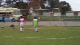 PA150066 - Mario goal