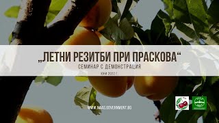 Летни резитби при праскова