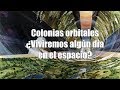 Colonias orbitales: ¿Viviremos algún día en el espacio?