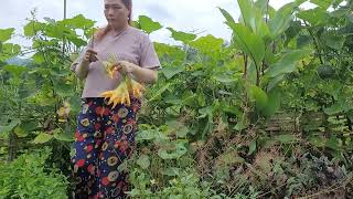 1 day of harvesting fruit and cooking tomato sauce