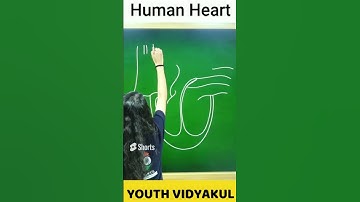 #heartdiagram #heart #sketch Easy method of heart sketch | How to Draw Human Heart#short #shorts