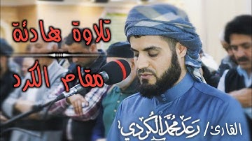 تلاوة هادئة ما تيسر من سورة يوسف وسورة الفجر | الشيخ رعد الكردي