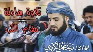تلاوة هادئة ما تيسر من سورة يوسف وسورة الفجر   الشيخ رعد الكردي سمعها