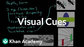 Visual cues | Processing the Environment | MCAT | Khan Academy