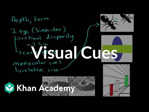 Visual cues | Processing the Environment | MCAT | Khan Academy