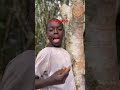 #trendingformusic #southafrica new songs #amapianodancers TikTok trending sounds in Afro dance