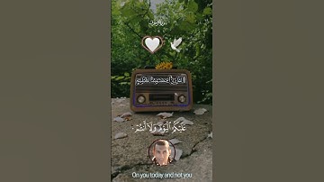 ألقارئ أحمد عبدالعظيم﷽يَٰعِبَادِ لَا خَوْفٌ عَلَيْكُمُ ٱلْيَوْمَ وَلَآ أَنتُمْ تَحْزَنُونَ❤️