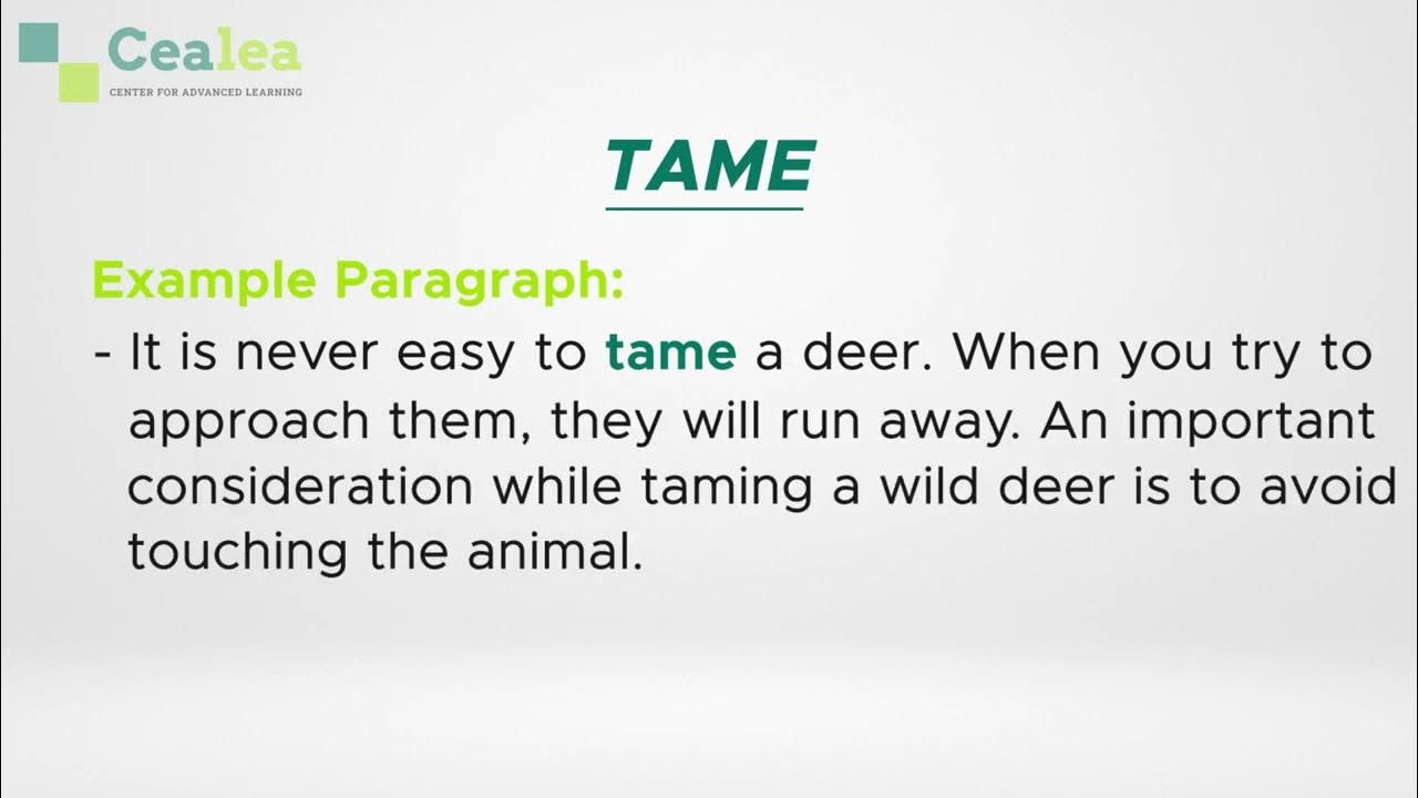 Learn How To Use Tame Meaning Synonyms Antonyms And Example top-trader-says-bitcoin-now-in-promising-position-for-long-term-rally