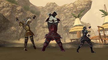 Go Go Posing Rangers FFXIV: A Realm Reborn