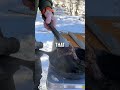 Cooking and Overlanding