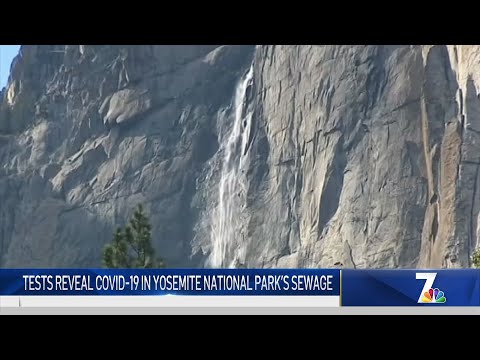Vídeo: Incêndios Florestais Em Yosemite Forçam Evacuação Em Massa De Turistas