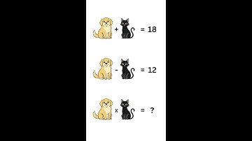 Only a Genius Can Solve This Riddle!