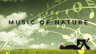 Beautiful Music Of Nature Relieves Stress And Soothes Therapy Music Max Relax