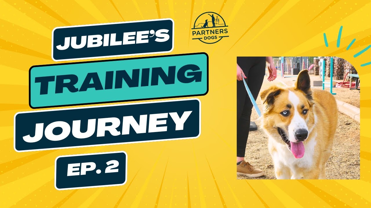 Jubilee: Episode 2