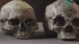 Paleoworld- Missing Links
