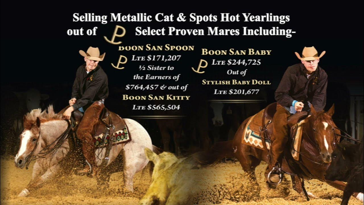 Western Bloodstock Rocking P Ranch Production Sale YouTube