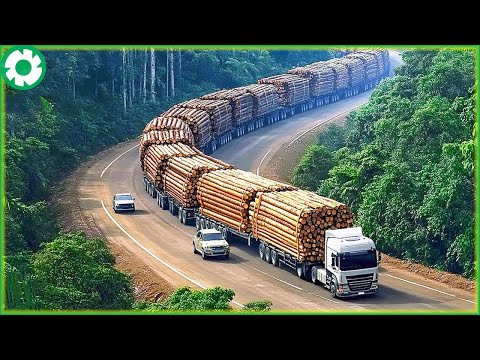 Transport Skill Operations Oversize Truck Biggest Heavy Equipment Machines | Best of Month
