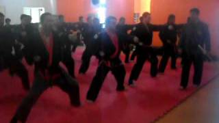 Hapkido4 - Professor E Mestre Emivaldo Chaves