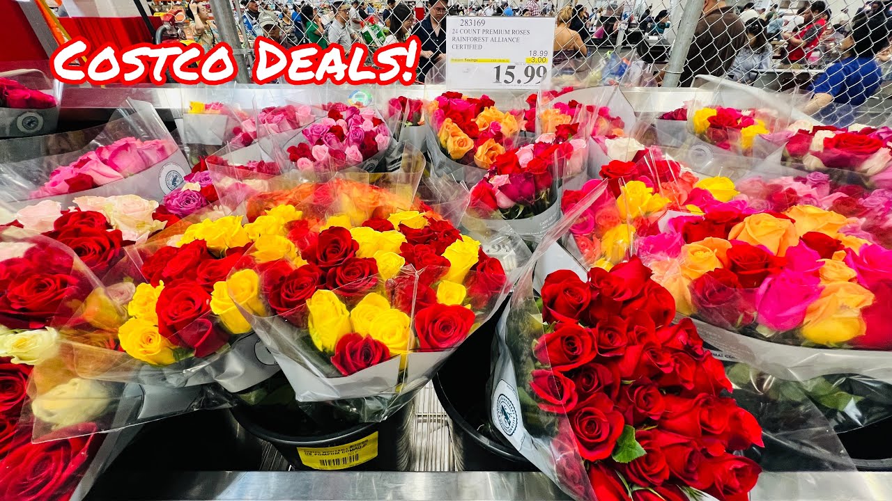 CURRENT COSTCO DEALS RIGHT NOW! YouTube