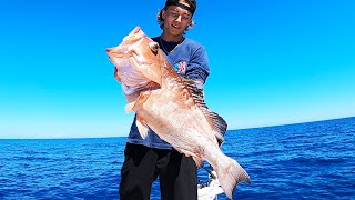 Steven's BIGGEST Grouper!  Catch Clean and Cook!