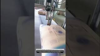 Automatic Inkjet Coding Machine - High-Speed Industrial Printing Technology for Packaging Lines.