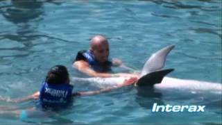 Nado con delfines - Interax