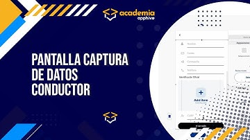 77. Pantalla captura de datos | Conductor