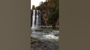 #خالد_الجليل #تلاوة_خاشعة #القرآن_الكريم #قرآن #القران_الكريم #قران