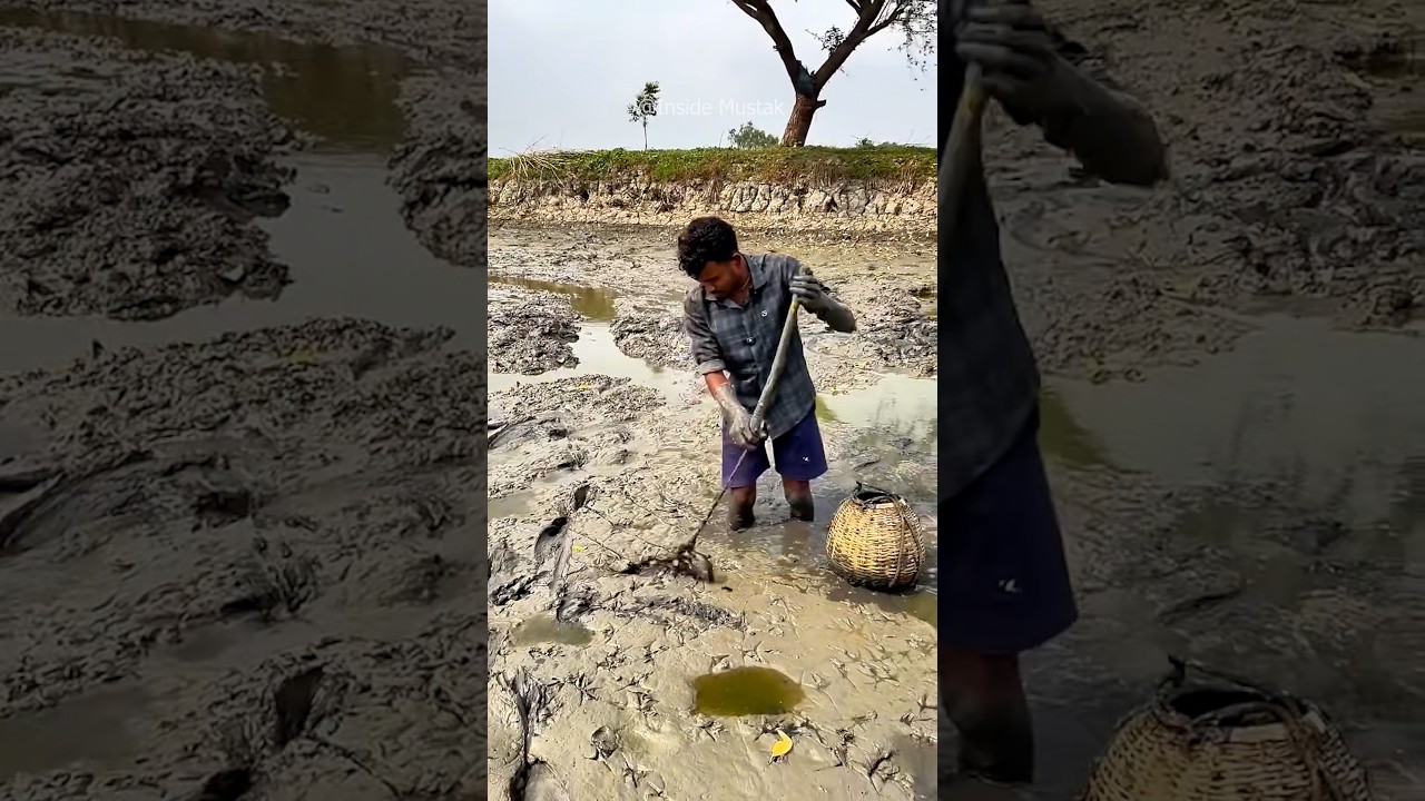 শতবর্ষী প্রাচীন দেশীয় প্রযুক্তি যা আজ চাইনাতেও ভাইরাল!  #InsideMustak #bangla  #banglafacts
