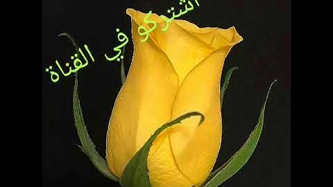 أجمل قرائة لسورة الاعلى تخشع لها القلوب بصوت الشيخ عبد الباسط