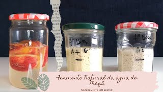 COMO FAZER FERMENTO NATURAL DE MAÇÃ SEM GLÚTEN (levain, massa madre, massa mãe)