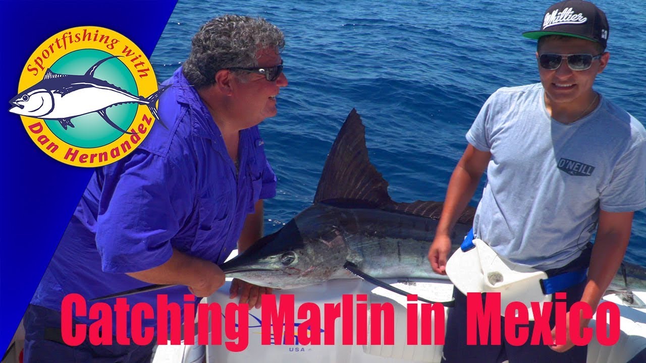Marlin Fishing In The East Cape, Mexico SPORT FISHING YouTube