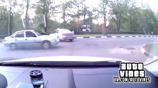 Auto Vines 142