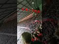 Manchester united chant