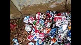 aluminum can collecting from off the side of the roads