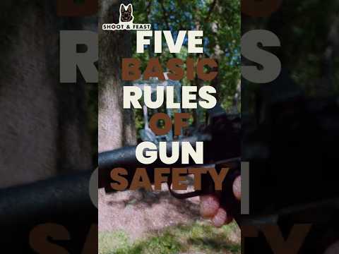 Five Basic Rules