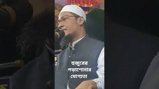 হুজুরের পড়াশোনার যোগ্যতা