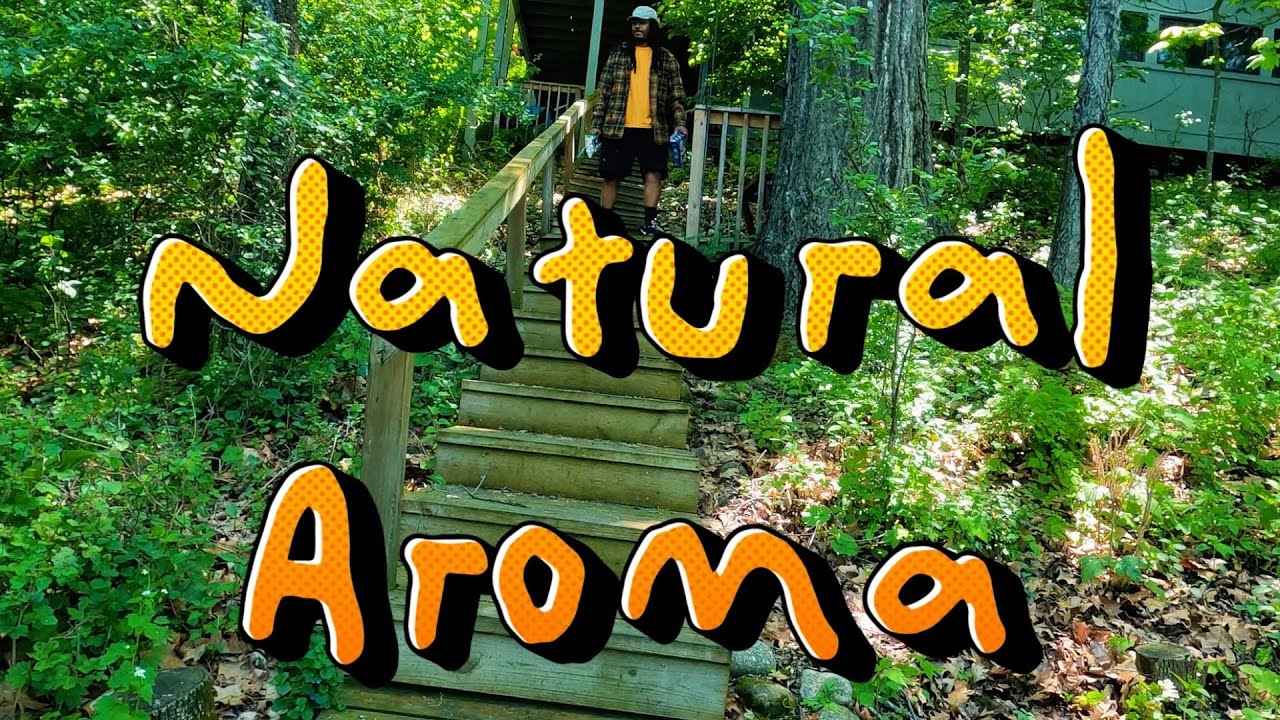 Natural Aroma - The Last Maven