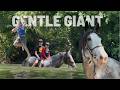 Breezy The Clydesdale STUNNED Us All! - UNFORGETTABLE First Rides!