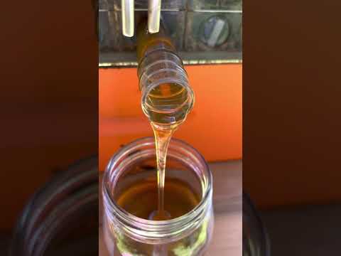 Flow Hive honey