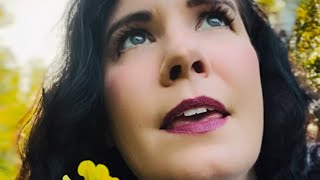 Love You From a Distance - Alicia Bergman