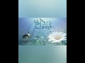 نبينا يا نبينا الرادود سلام البيضاني نبينا يا نبينا الرادود سلام البيضاني