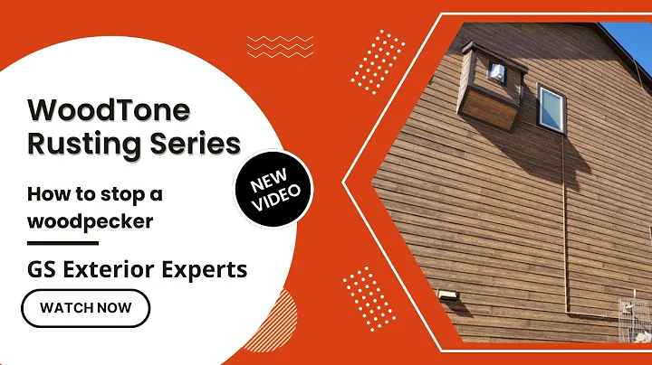 How to stop a woodpecker | GS Exterior Experts