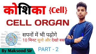 human cell structure and function|cell wall | plasma membrane......bymaksoodsir
